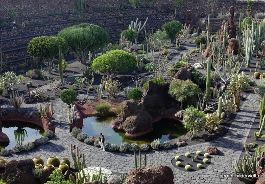 18-12-07-guatiza-kaktusgarten-115