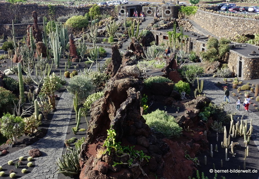 18-12-07-guatiza-kaktusgarten-116