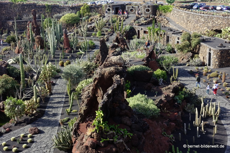 18-12-07-guatiza-kaktusgarten-116.JPG