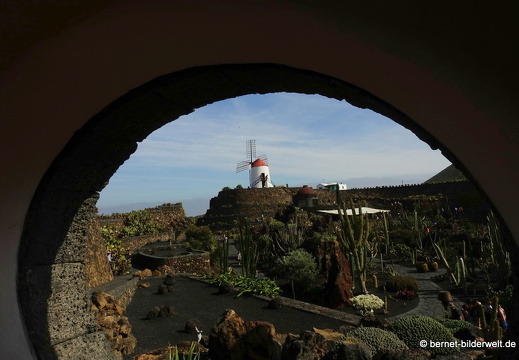 18-12-07-guatiza-kaktusgarten-212