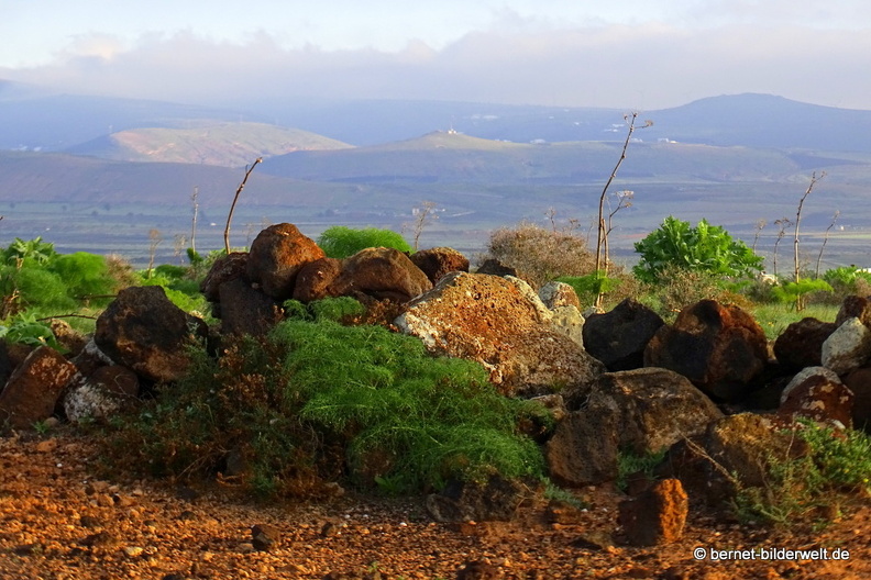 18-12-03-teseguite nach teguise-045.JPG