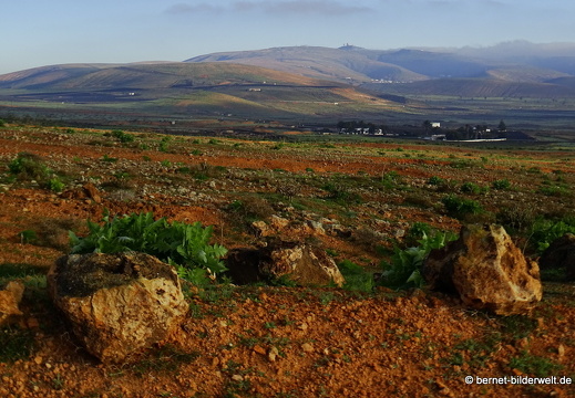 18-12-03-teseguite nach teguise-053