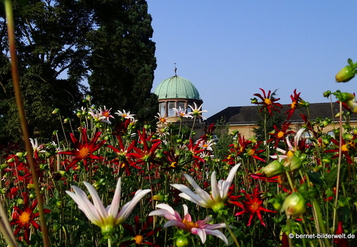 17-08-28-karlsruhe-schloss-botanischer garten-009
