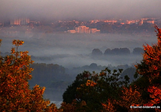17-10-15-aussicht-karlsruhe-nebel-009