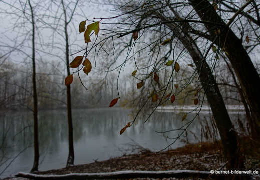 17-12-01-oberwald-010