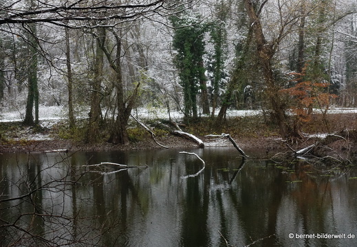 17-12-01-oberwald-027