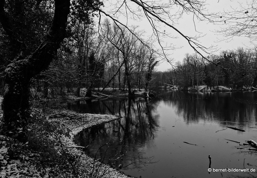 17-12-04-oberwald-018