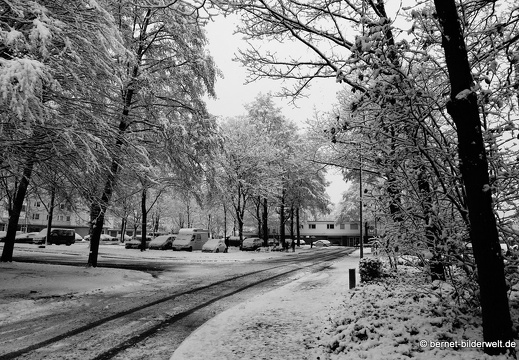 17-12-18-schneespaziergang-bergwald-