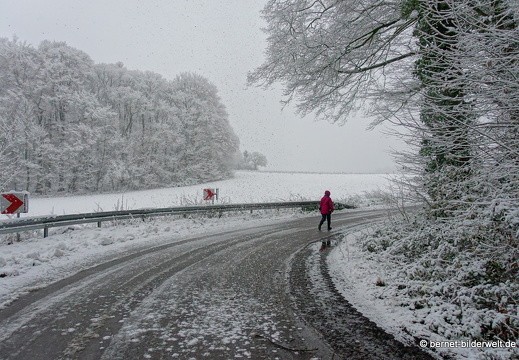 17-12-18-schneespaziergang-bergwald-010