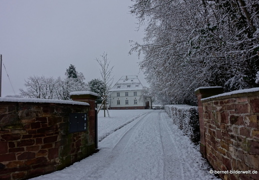 17-12-18-schneespaziergang-hohenwettersbach-029