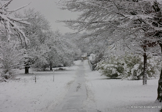 17-12-18-schneespaziergang-hohenwettersbach-003