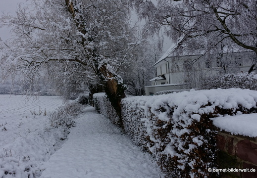 17-12-18-schneespaziergang-hohenwettersbach-033