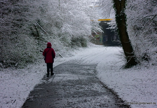 17-12-18-schneespaziergang-hohenwettersbach-077