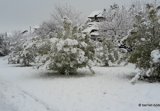 17-12-18-schneespaziergang-hohenwetttersbach-