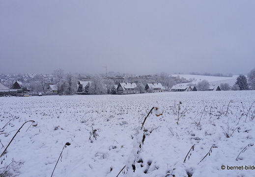 17-12-18-schneespaziergang-hohenwetttersbach-002