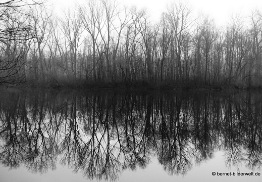 17-12-19-oberwald-erlachsee-