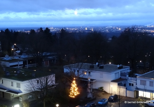 18-01-02-bergwald-weihnachtsbaum-vollmond-