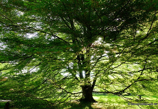 18-04-22-zoo-stadtgarten-001