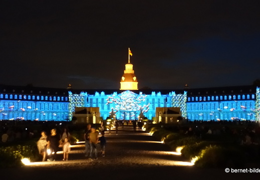 19-08-12-schlosslichtspiele-evolution of life-005