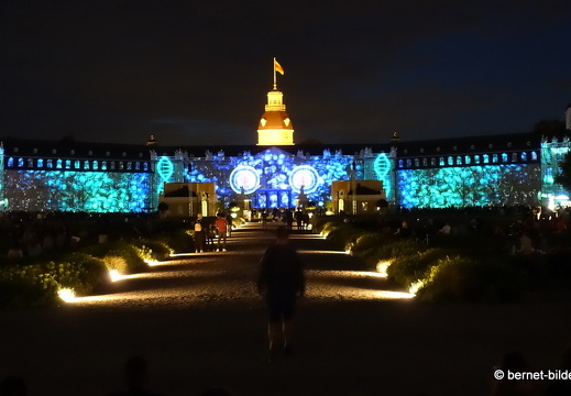 19-08-12-schlosslichtspiele-evolution of life-009