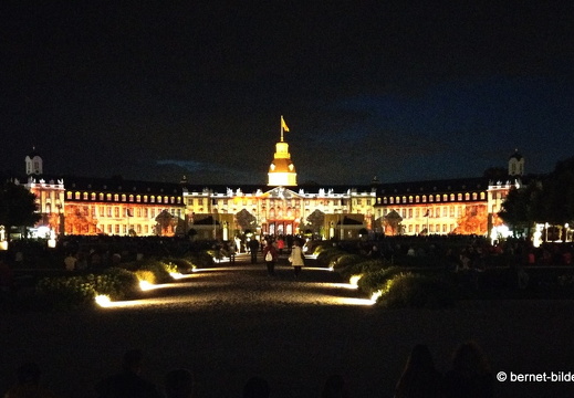 19-08-12-schlosslichtspiele-evolution of life-006