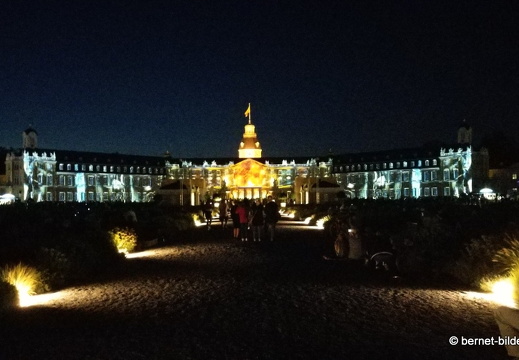 19-08-14-schlosslichtspiele-evolution of life-004
