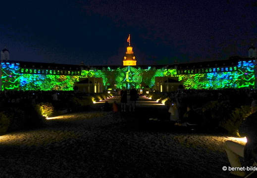 19-08-14-schlosslichtspiele-evolution of life-014
