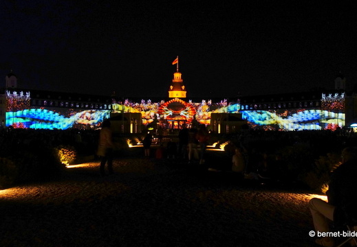 19-08-14-schlosslichtspiele-evolution of life-024