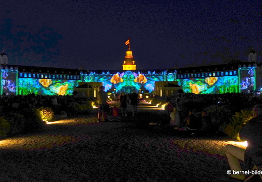19-08-14-schlosslichtspiele-evolution of life-020
