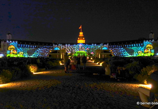 19-08-14-schlosslichtspiele-evolution of life-022