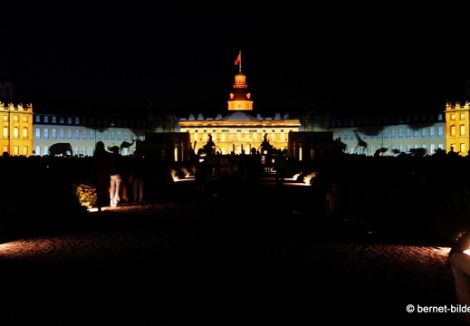 19-08-14-schlosslichtspiele-evolution of life-027