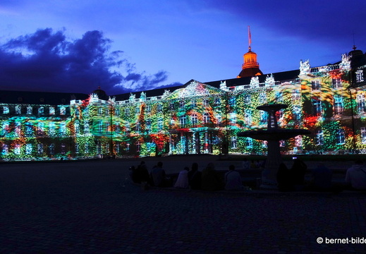 19-08-19-schlosslichtspiele-structures of life 2017-003