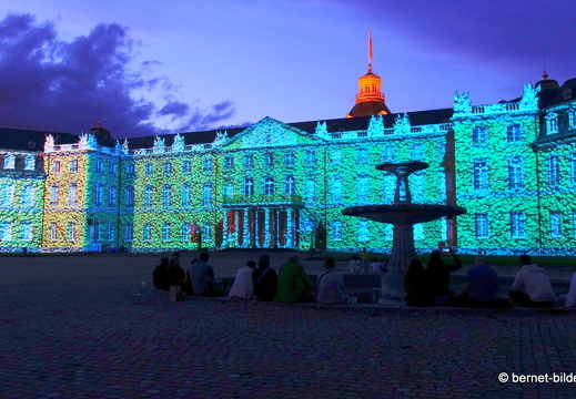 19-08-19-schlosslichtspiele-structures of life 2017-004