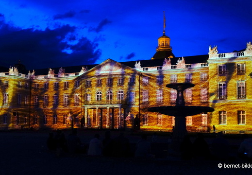 19-08-19-schlosslichtspiele-structures of life 2017-024