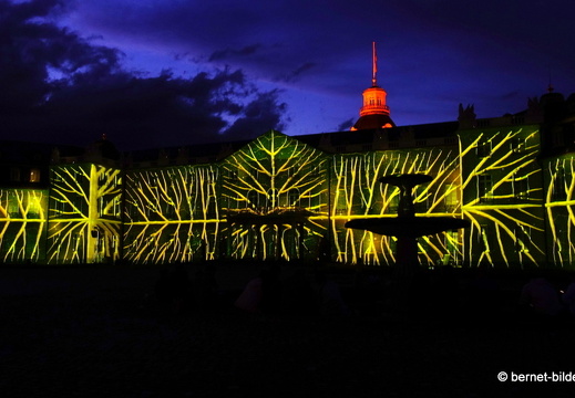 19-08-19-schlosslichtspiele-structures of life 2017-027