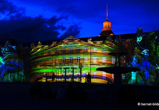 19-08-19-schlosslichtspiele-structures of life 2017-030
