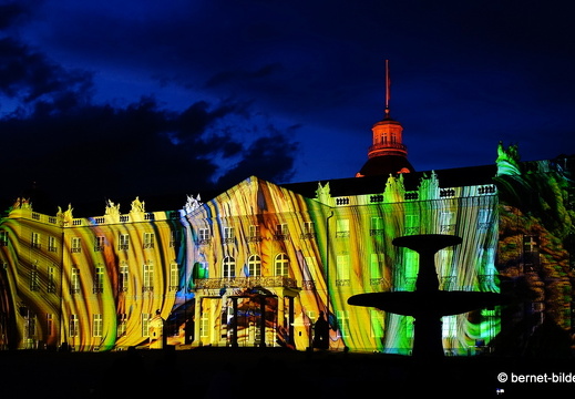 19-08-19-schlosslichtspiele-structures of life 2017-031