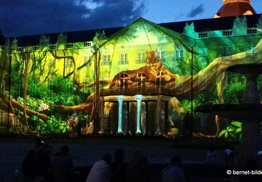 19-08-19-schlosslichtspiele-structures of life 2017-038