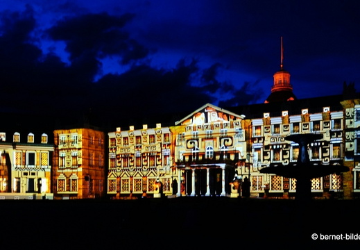 19-08-19-schlosslichtspiele-structures of life 2017-039 Linienkorrektur