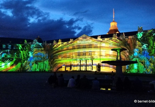 19-08-19-schlosslichtspiele-structures of life 2017-043