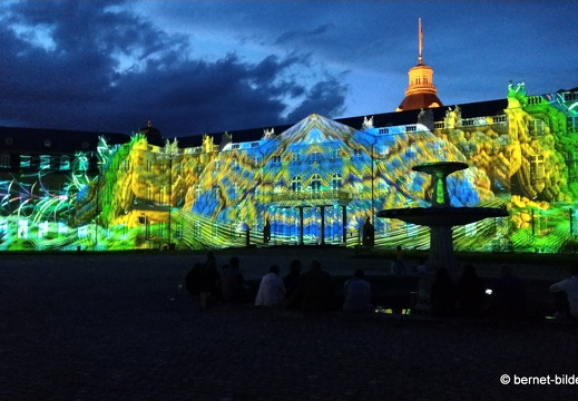 19-08-19-schlosslichtspiele-structures of life 2017-044
