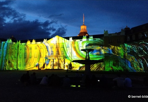 19-08-19-schlosslichtspiele-structures of life 2017-045