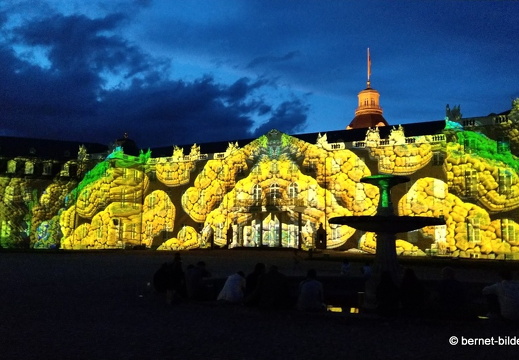 19-08-19-schlosslichtspiele-structures of life 2017-046