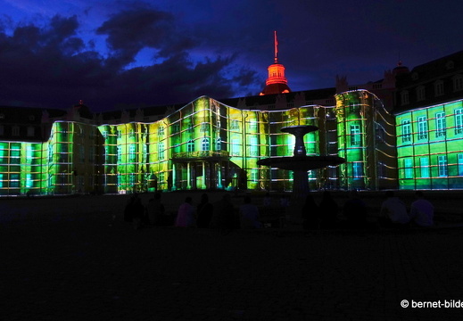 19-08-19-schlosslichtspiele-structures of life 2017-051