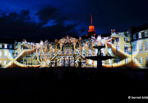 19-08-19-schlosslichtspiele-structures of life 2017-053