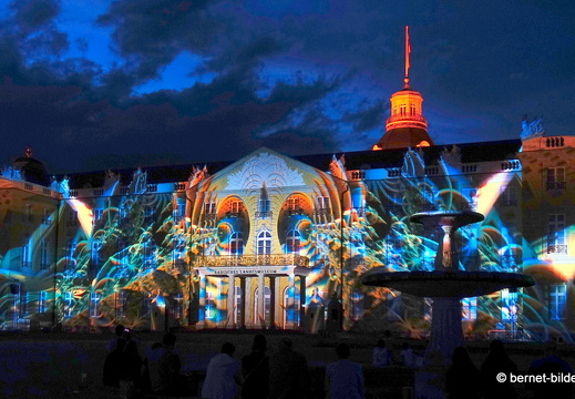 19-08-19-schlosslichtspiele-structures of life 2017-055