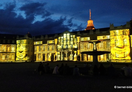 19-08-19-schlosslichtspiele-structures of life 2017-059