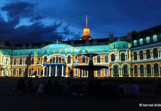 19-08-19-schlosslichtspiele-structures of life 2017-065