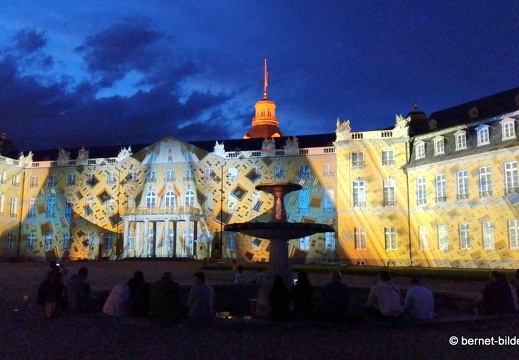 19-08-19-schlosslichtspiele-structures of life 2017-077