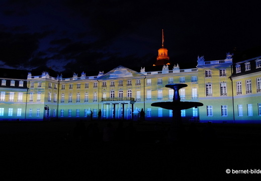 19-08-19-schlosslichtspiele-structures of life 2017-087
